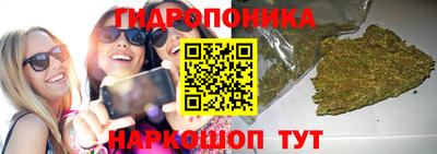 Альфа ПВП Гусев
