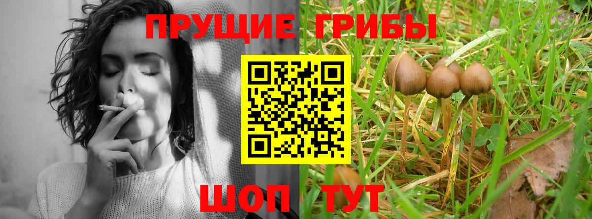 Псилоцибиновые грибы Cubensis Ухта